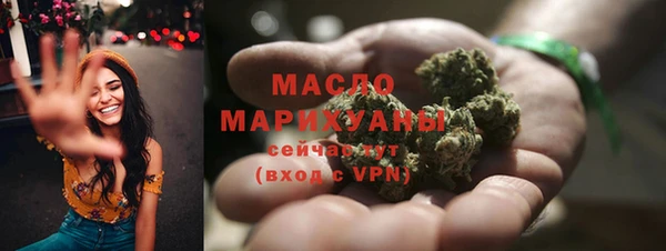 амф Гусев