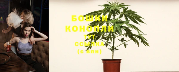 амф Гусев