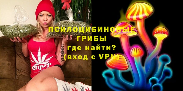 хмурый Гусиноозёрск