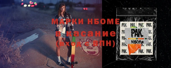 амф Гусев